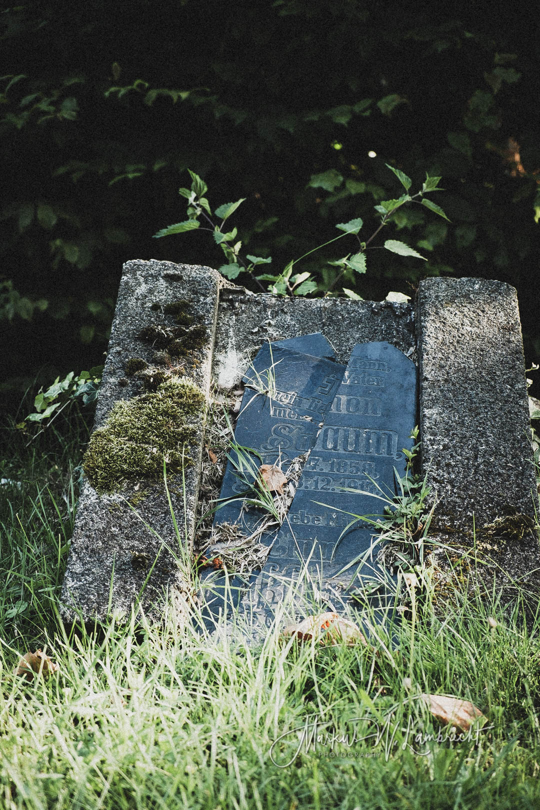Jüdischer Friedhof Kassel-Bettenhausen